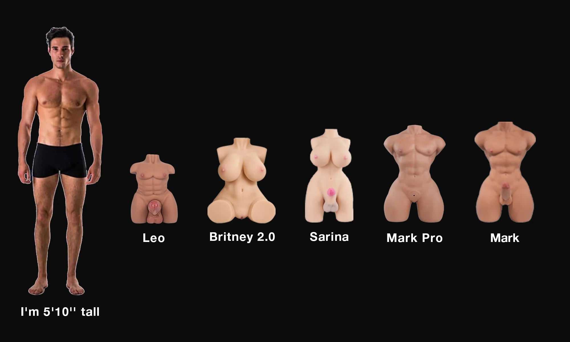 mark_pro_sex_doll_torsos_with_penis_size_comparison_4