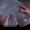 Crystal-Clear-Sex-Doll-Details-Of-The-Thrusting-Action
